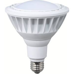 ハタヤリミテッド HATAYA ハタヤ LDR20N-H110 LED作業灯 20W交換球昼白色広角タイプ メーカー直送 代引不可 沖縄 離島不可