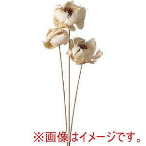 大地農園 大地農園 パームフラワー 白 3本 ドライフラワー